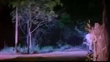 Pyaar Ki Raas Bhari Raat - Movies.